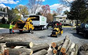 Best Lawn Grading and Leveling  in Patrick Springs, VA