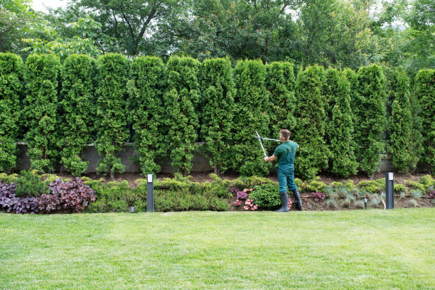 Best Lawn Irrigation Installation and Maintenance  in Patrick Springs, VA