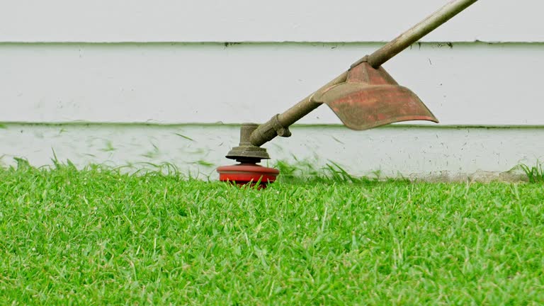 Best Weed Control  in Patrick Springs, VA