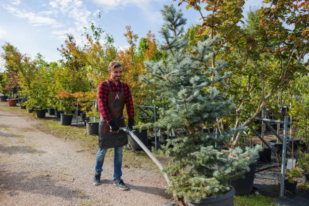 Best Hazardous Tree Removal  in Patrick Springs, VA